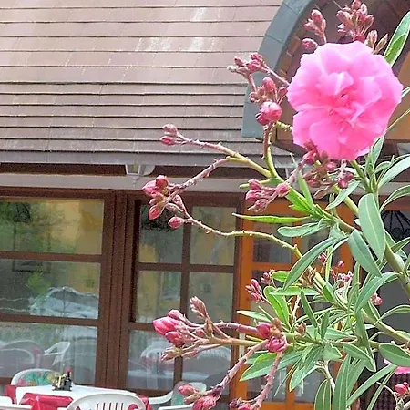 Oleander Panzió *