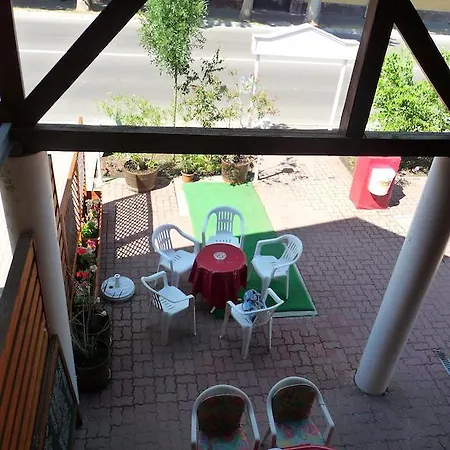 Oleander شيوفوك