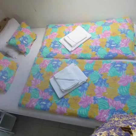 Oleander شيوفوك