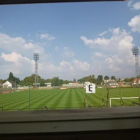 Oleander * شيوفوك