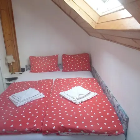 Oleander * شيوفوك