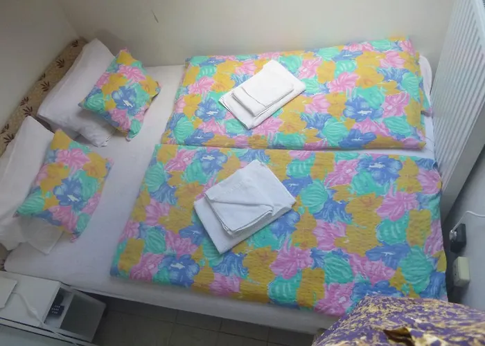 Oleander شيوفوك